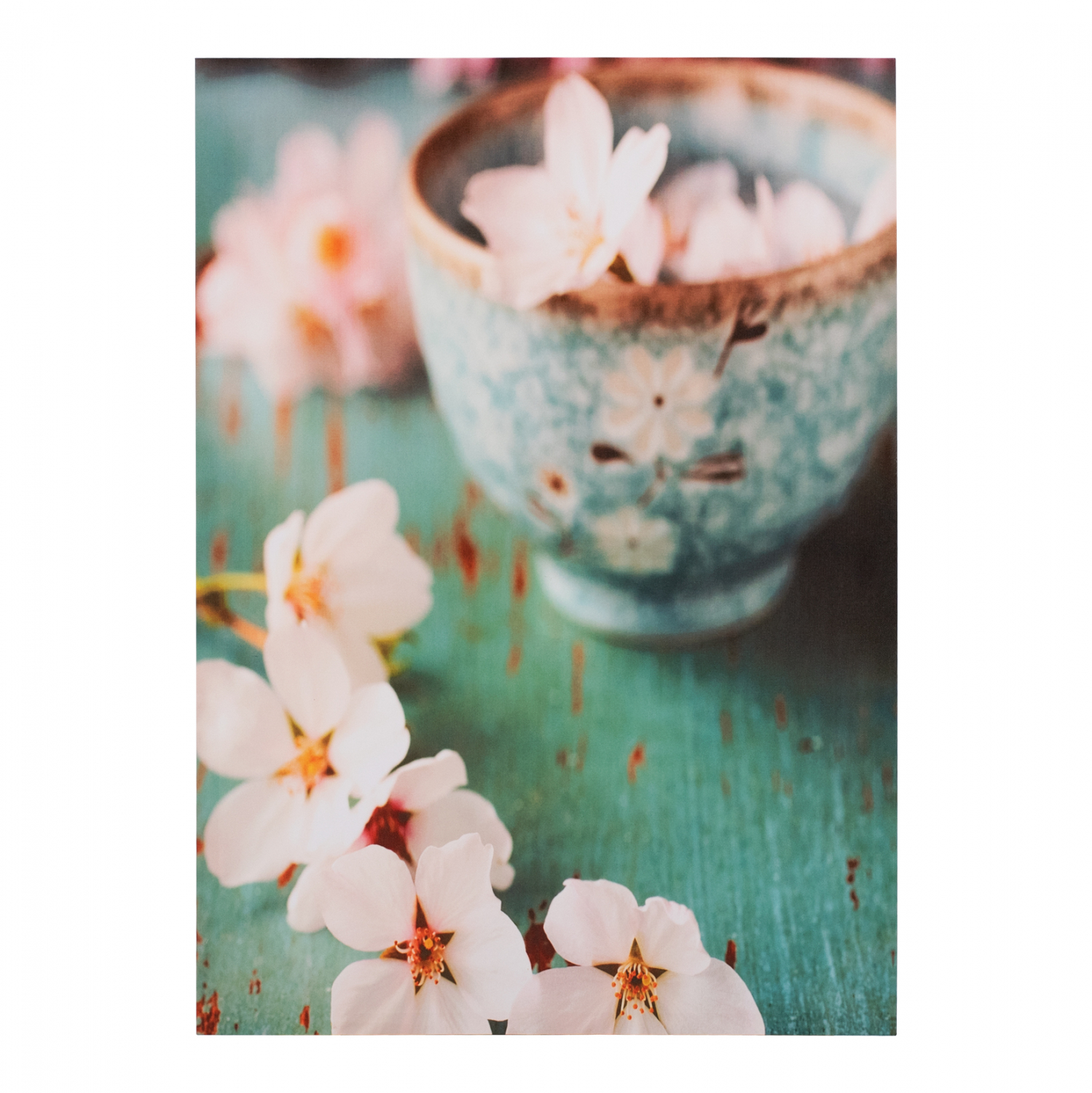 pinakas-kambas-flower-cup-hm715305-50x70