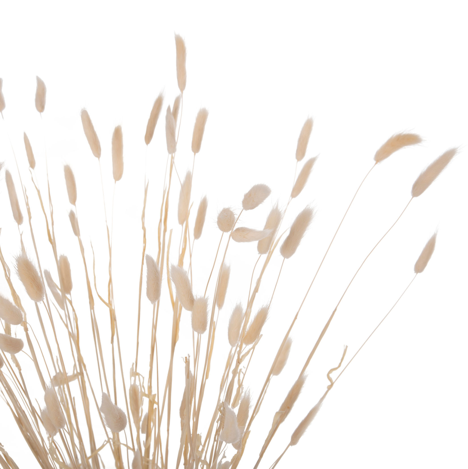 diakosmitiko-mpoyketo-apoxirameno-fb9795-2