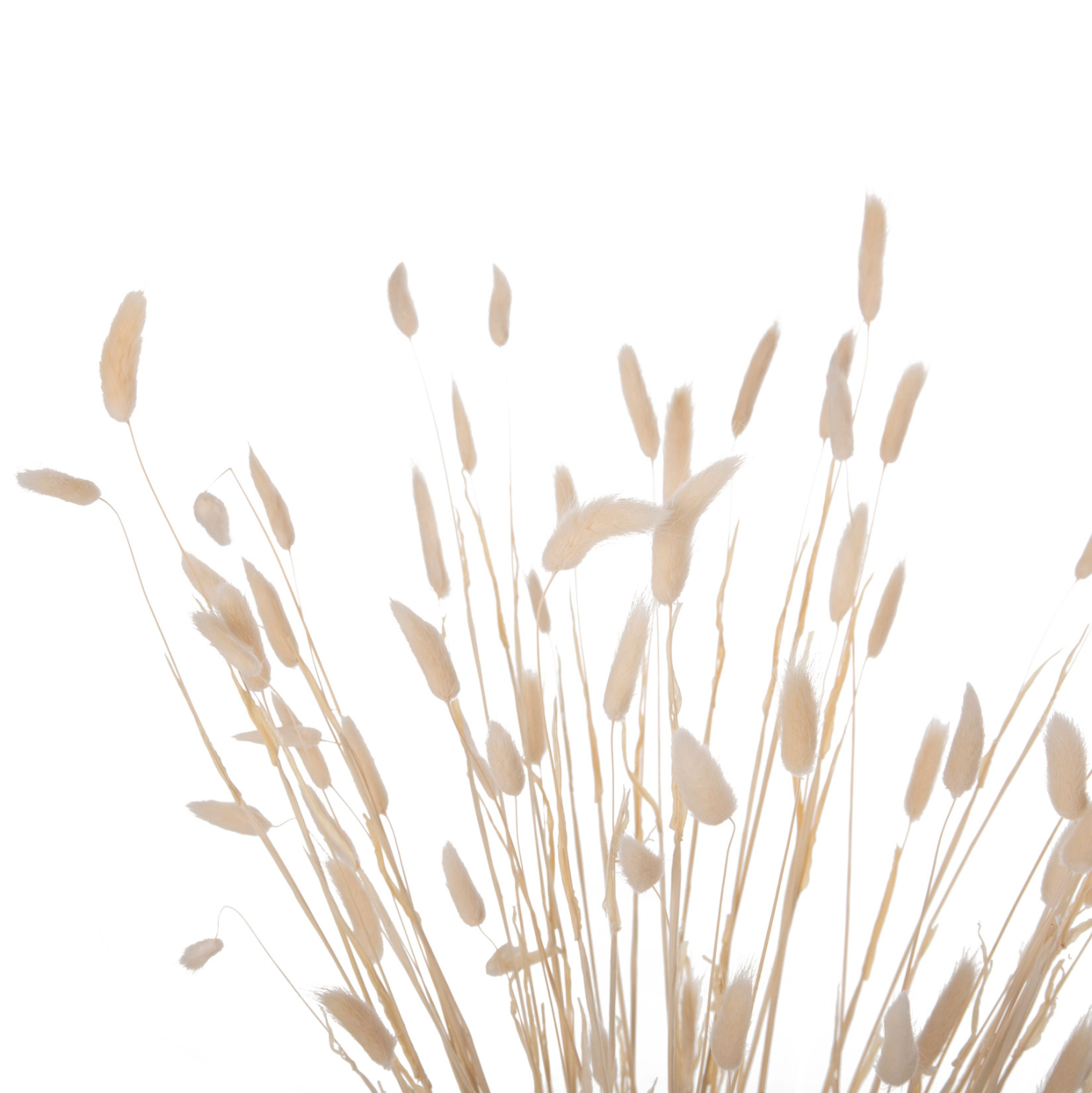 diakosmitiko-mpoyketo-apoxirameno-fb9795-3