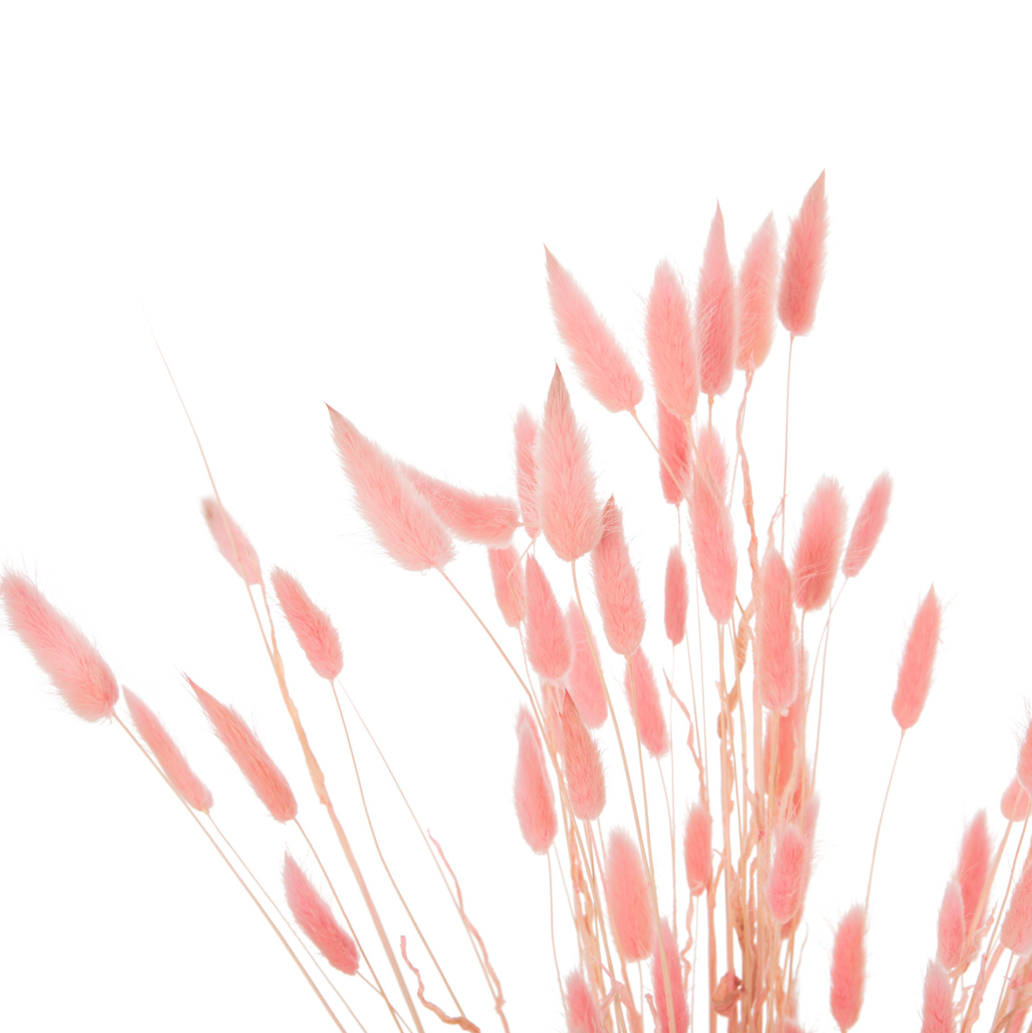 diakosmitiko-mpoyketo-apoxirameno-fb9796-2