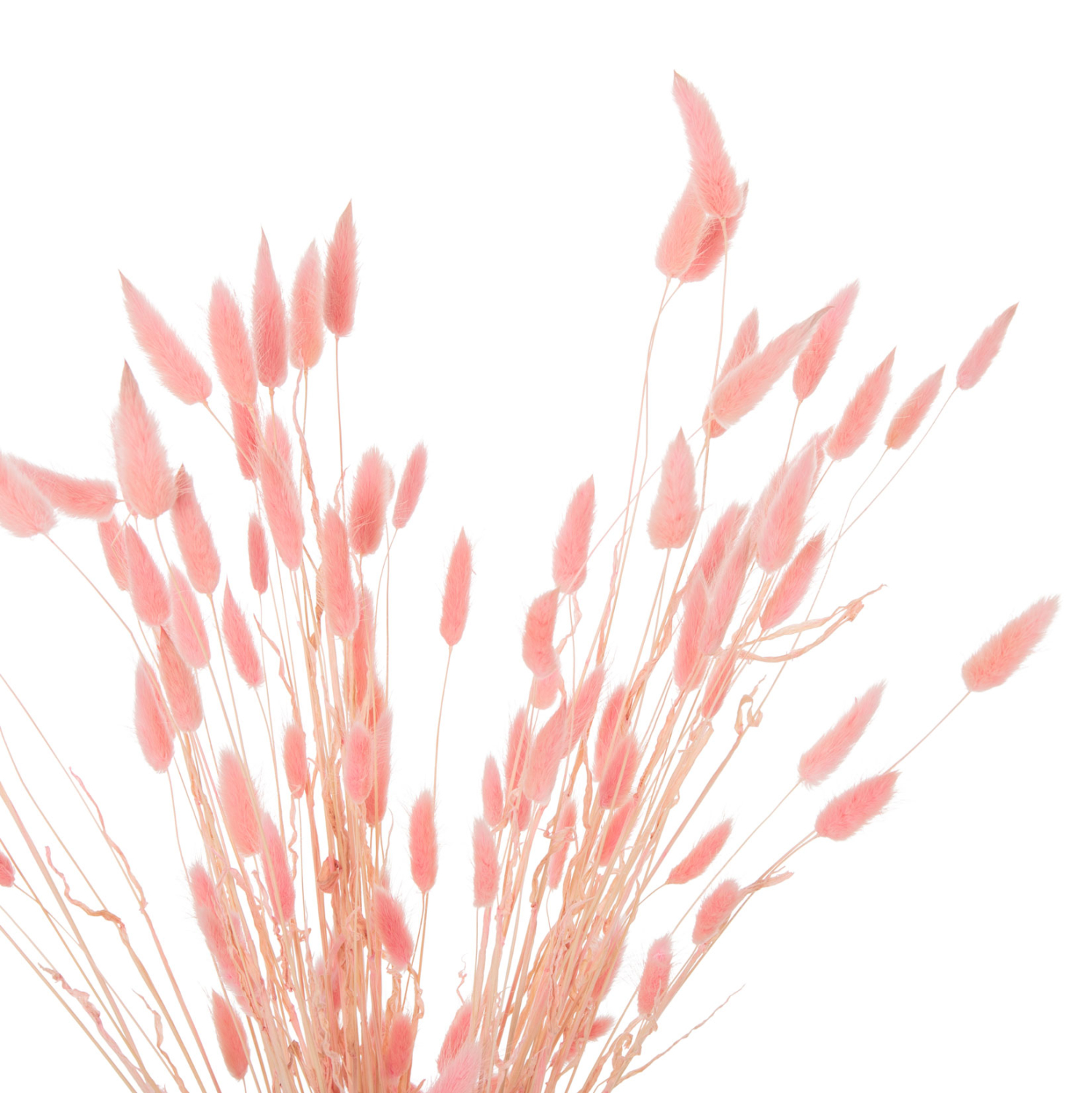 diakosmitiko-mpoyketo-apoxirameno-fb9796-3