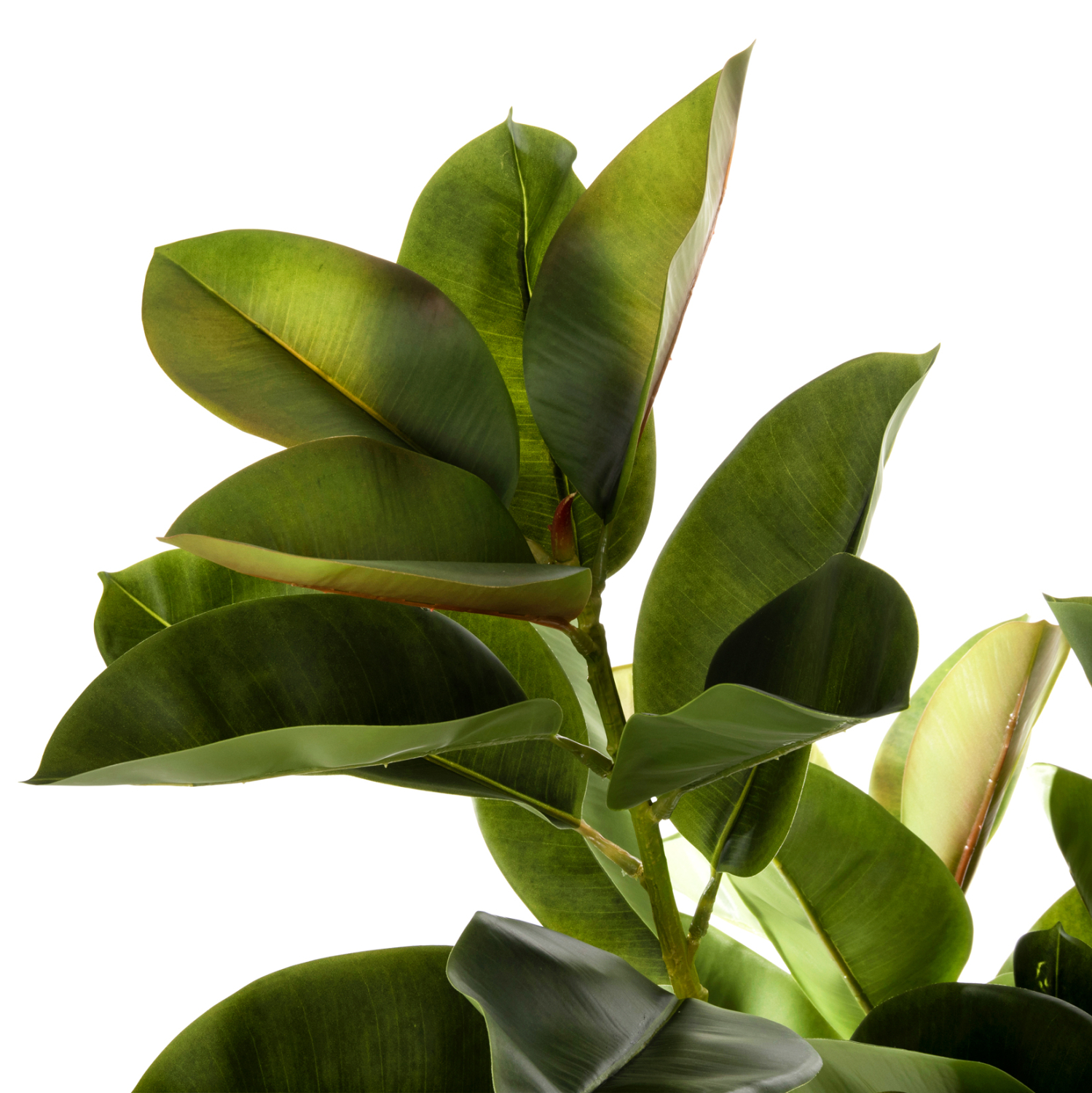 diakosmitiko-synthetiko-fyto-fb94000-dry-2