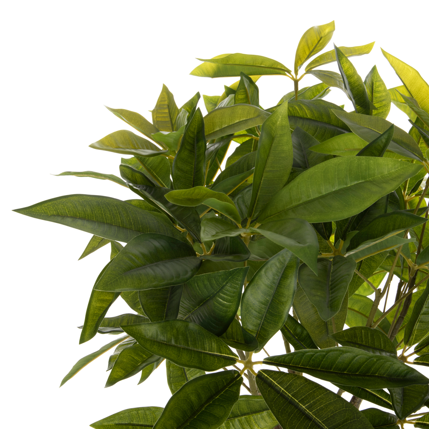 diakosmitiko-synthetiko-fyto-fb94001-pac-2