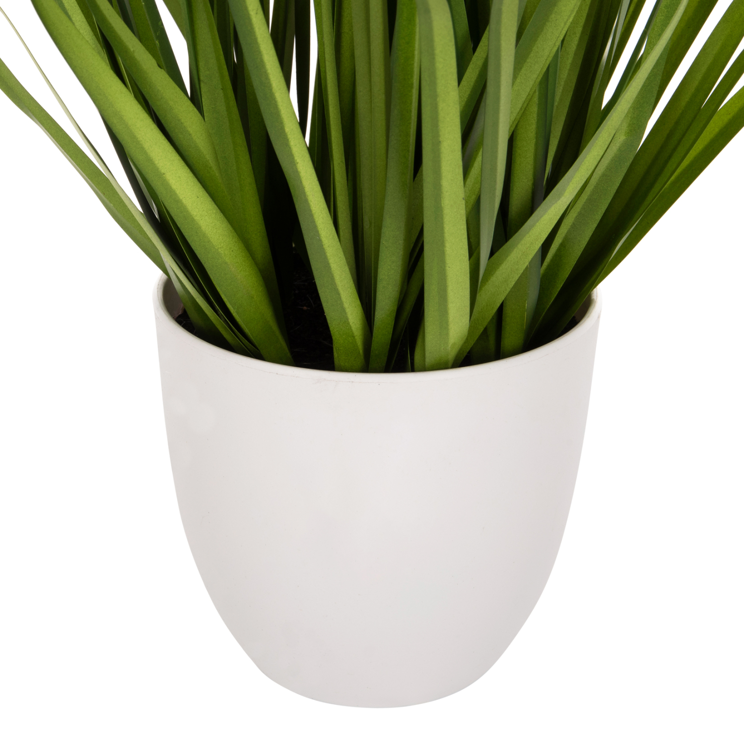 diakosmitiko-synthetiko-fyto-fb94029-bri-3