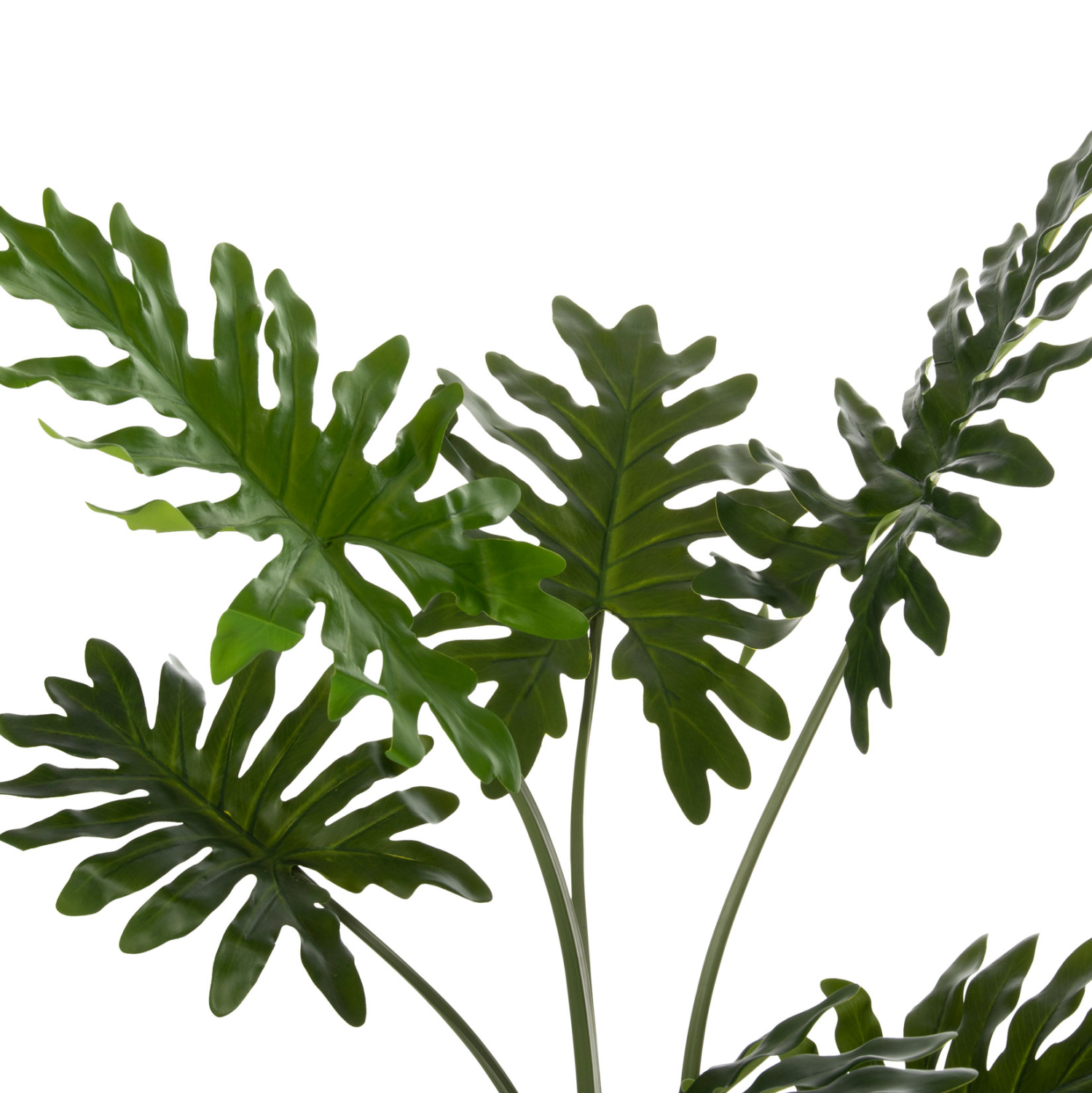 diakosmitiko-synthetiko-fyto-fb97971-pla-2