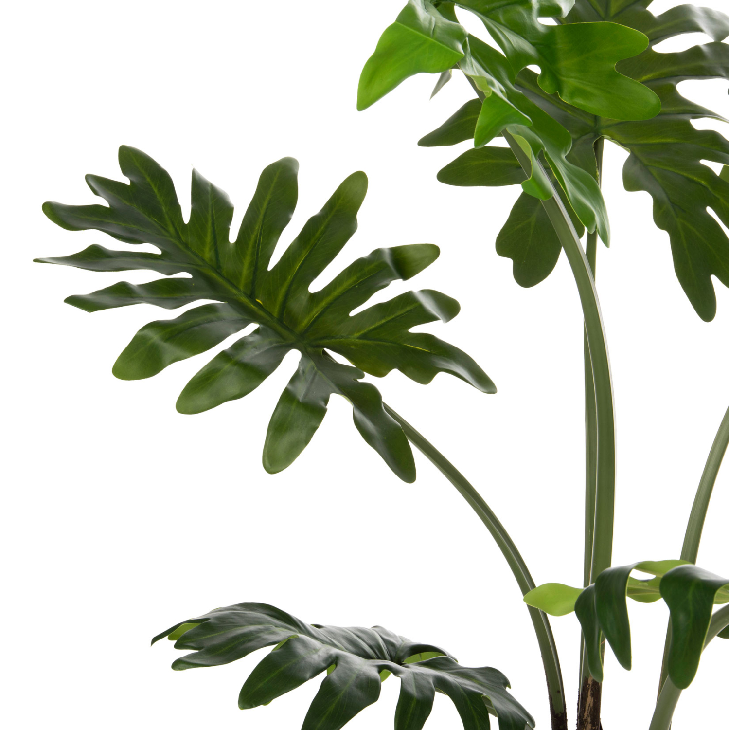 diakosmitiko-synthetiko-fyto-fb97971-pla-3