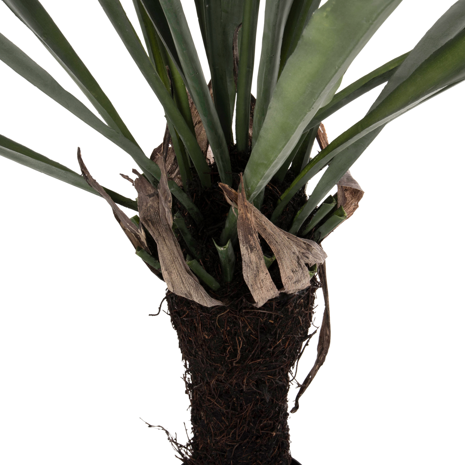 diakosmitiko-synthetiko-fyto-fb97975-asp-3