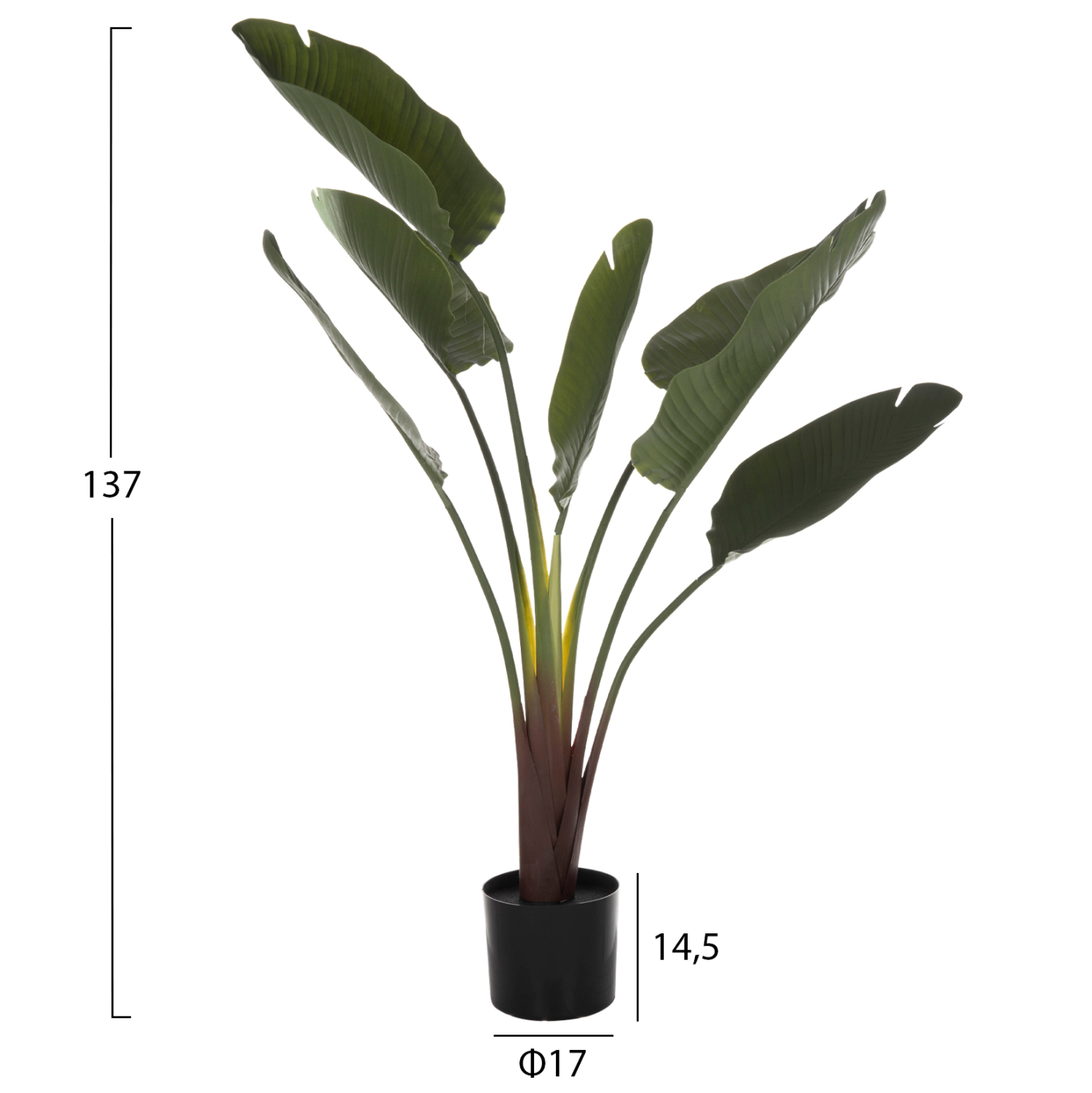 diakosmitiko-synthetiko-fyto-fb97981-str-1