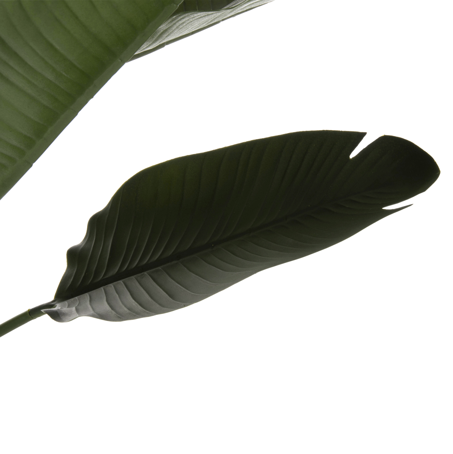 diakosmitiko-synthetiko-fyto-fb97981-str-2