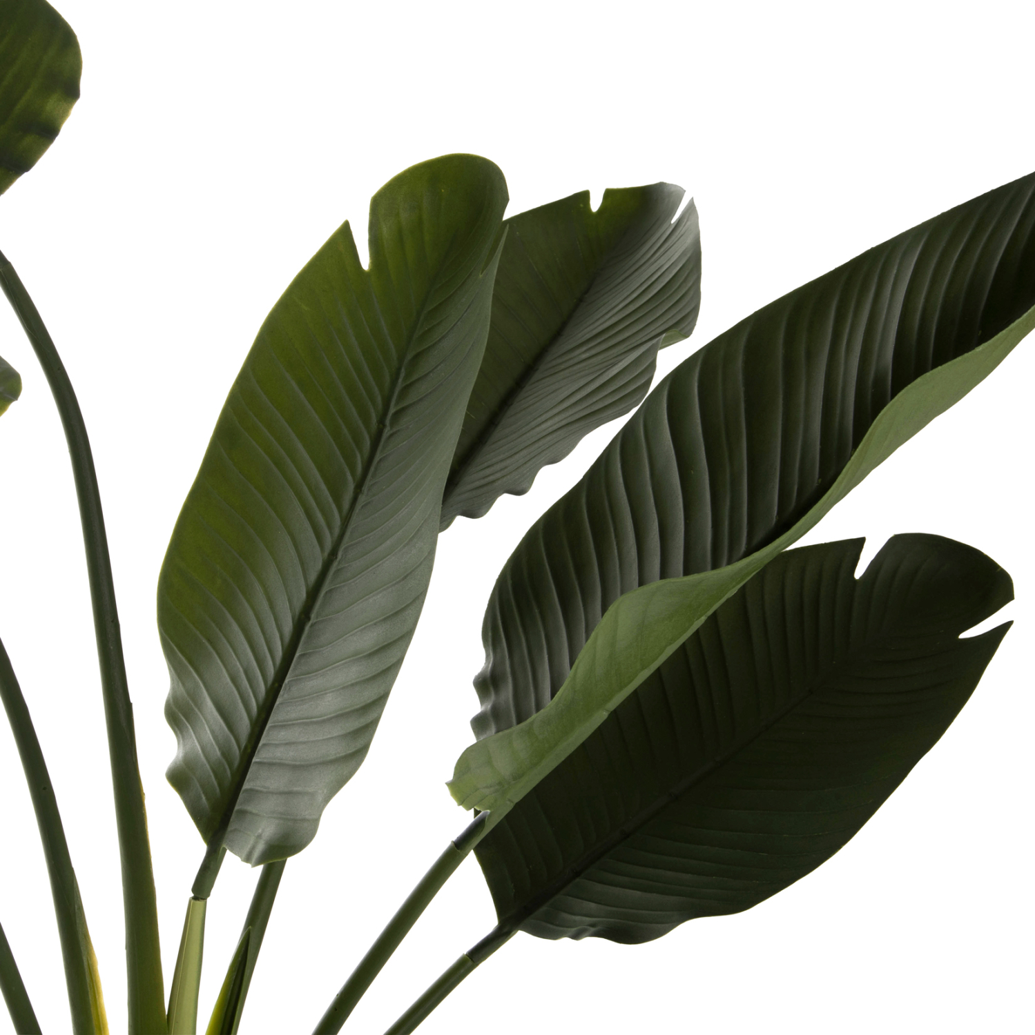 diakosmitiko-synthetiko-fyto-fb97981-str-3