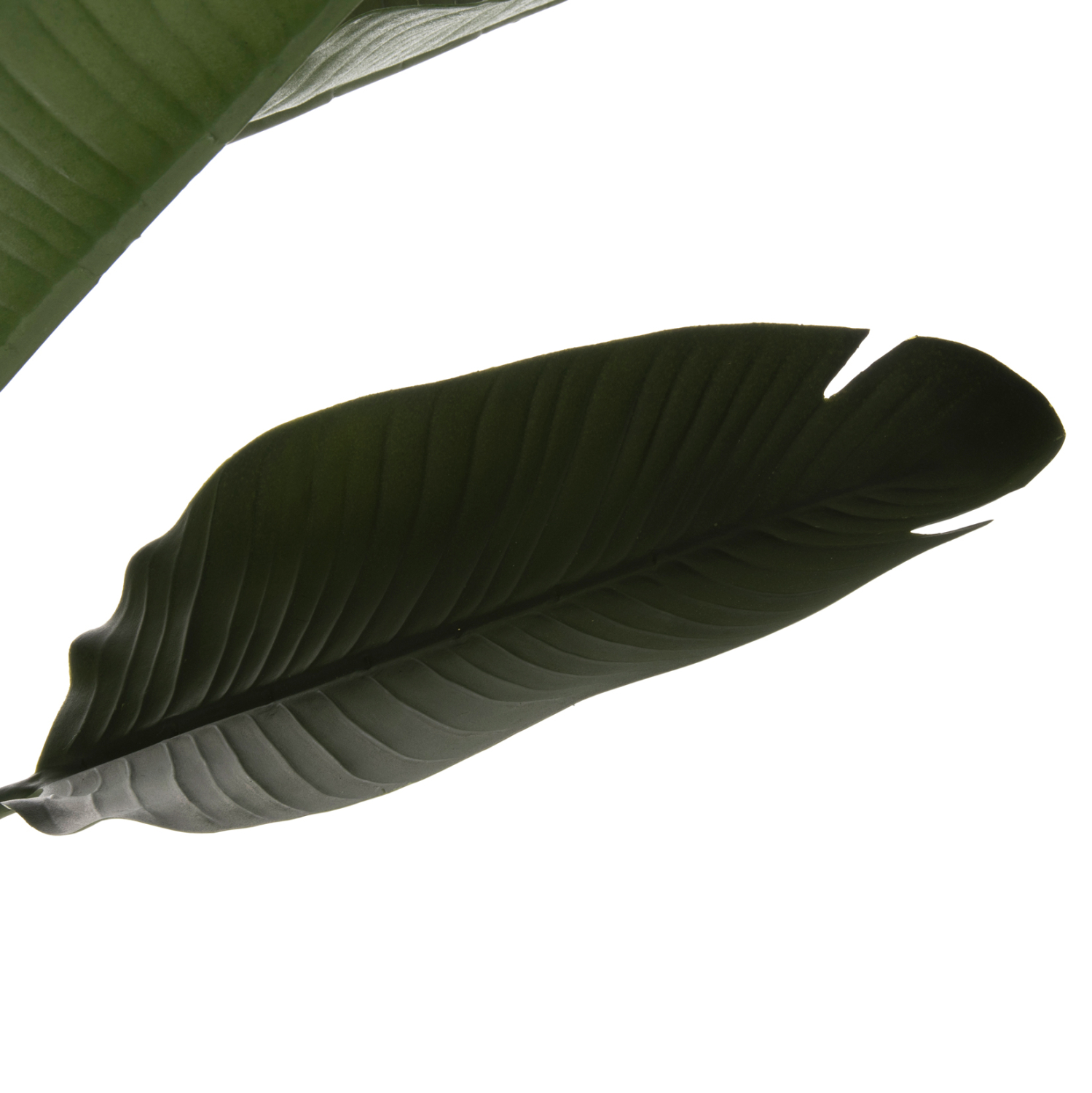 diakosmitiko-synthetiko-fyto-fb97982-str-2