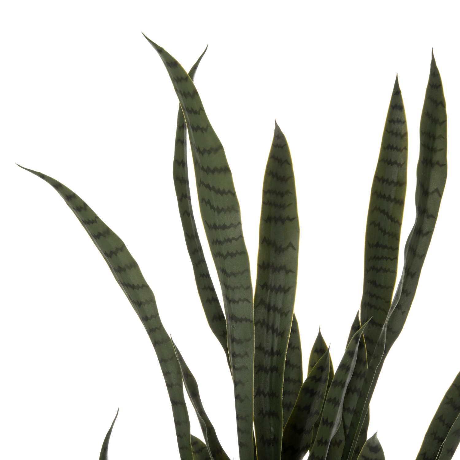 diakosmitiko-synthetiko-fyto-fb9799402-s-2