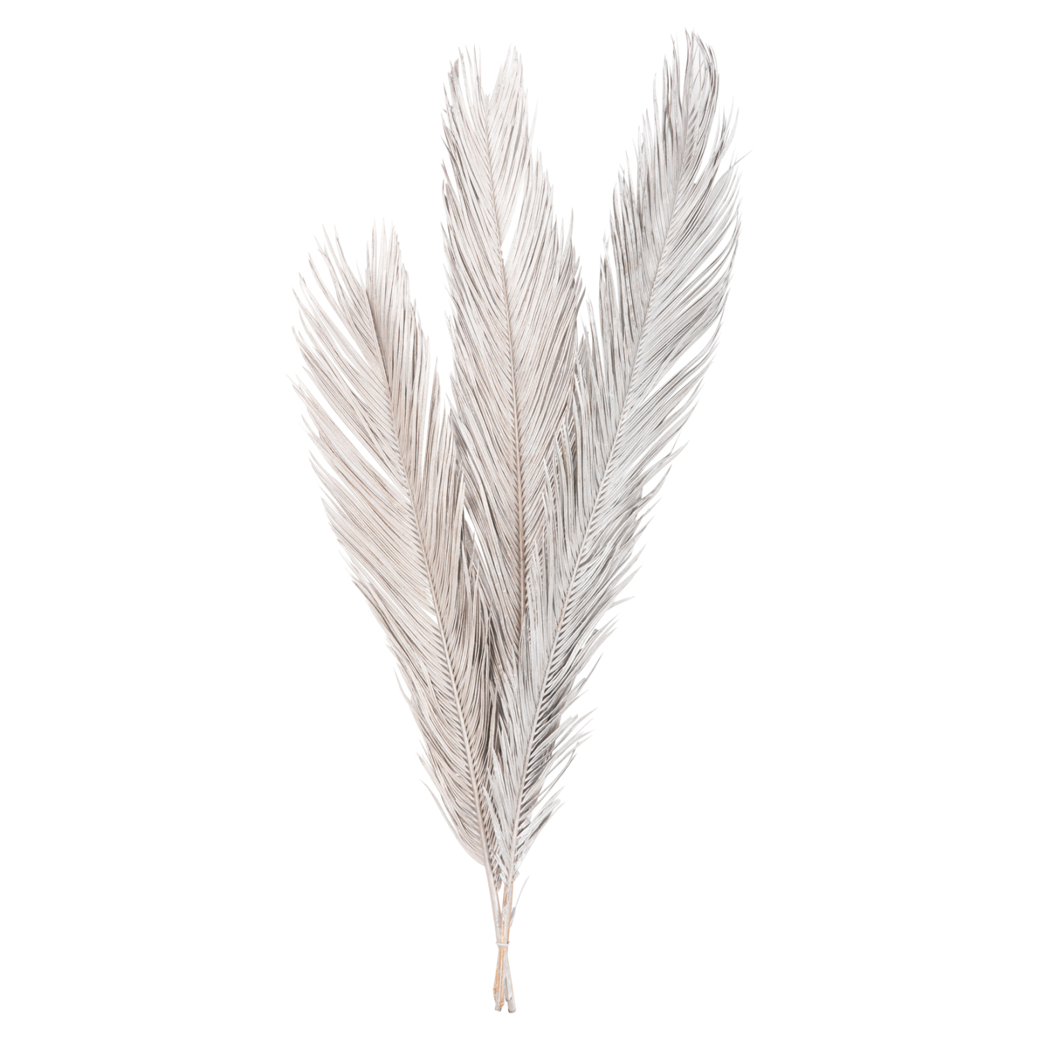 diakosmitiko-apoxirameno-set-3-fyllon-fo