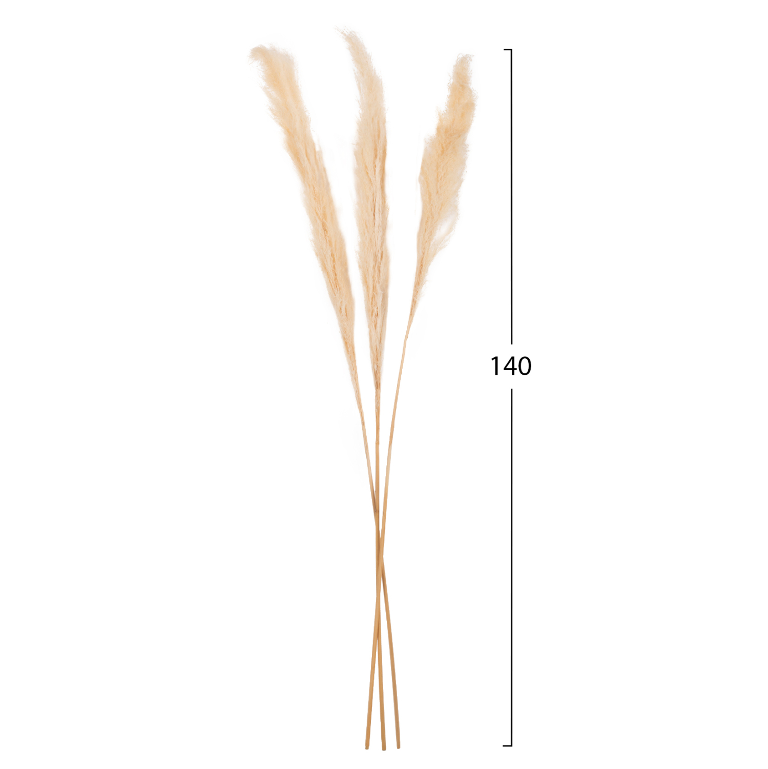 diakosmitiko-mpoyketo-apoxiramena-kalami-1