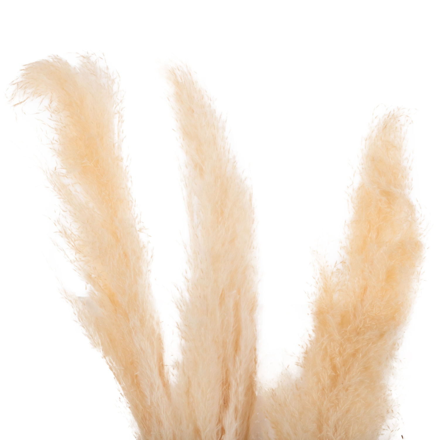 diakosmitiko-mpoyketo-apoxiramena-kalami-2