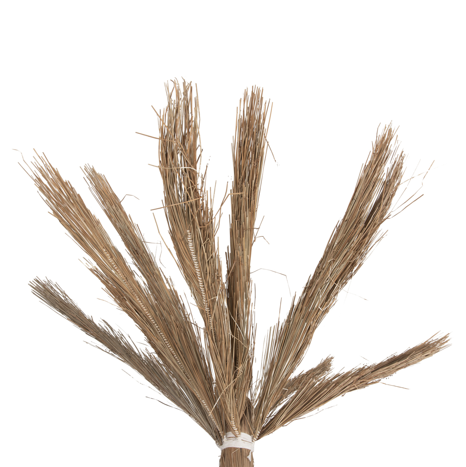 diakosmitiko-dentro-fb94322-tfoinika-apo-3