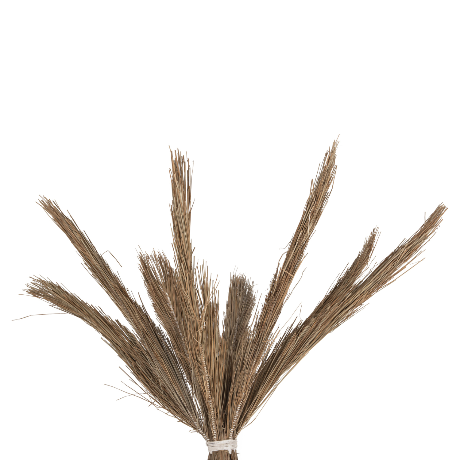 diakosmitiko-dentro-fb94324-tfoinika-apo-3