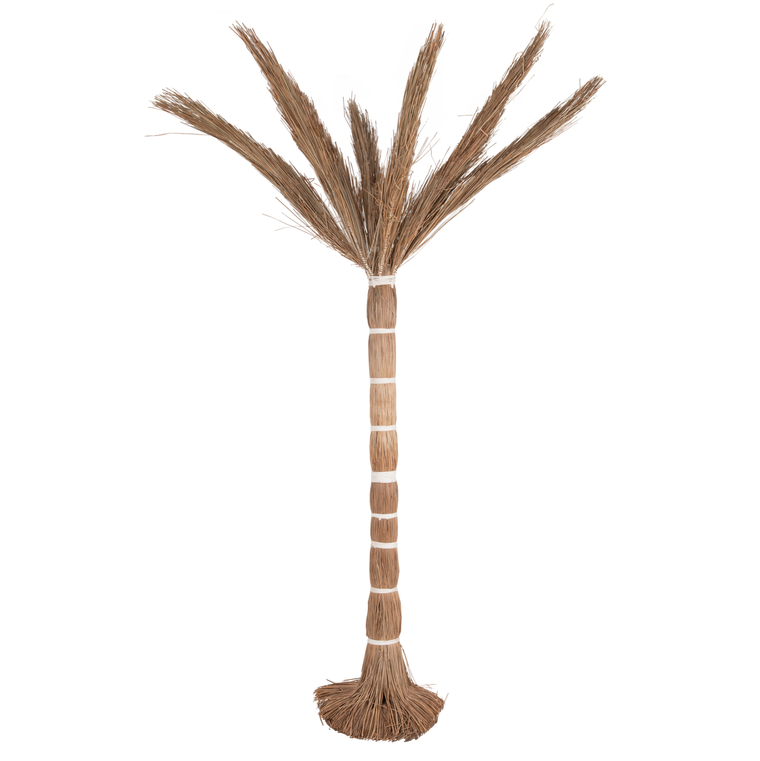 diakosmitiko-dentro-fb94324-tfoinika-apo