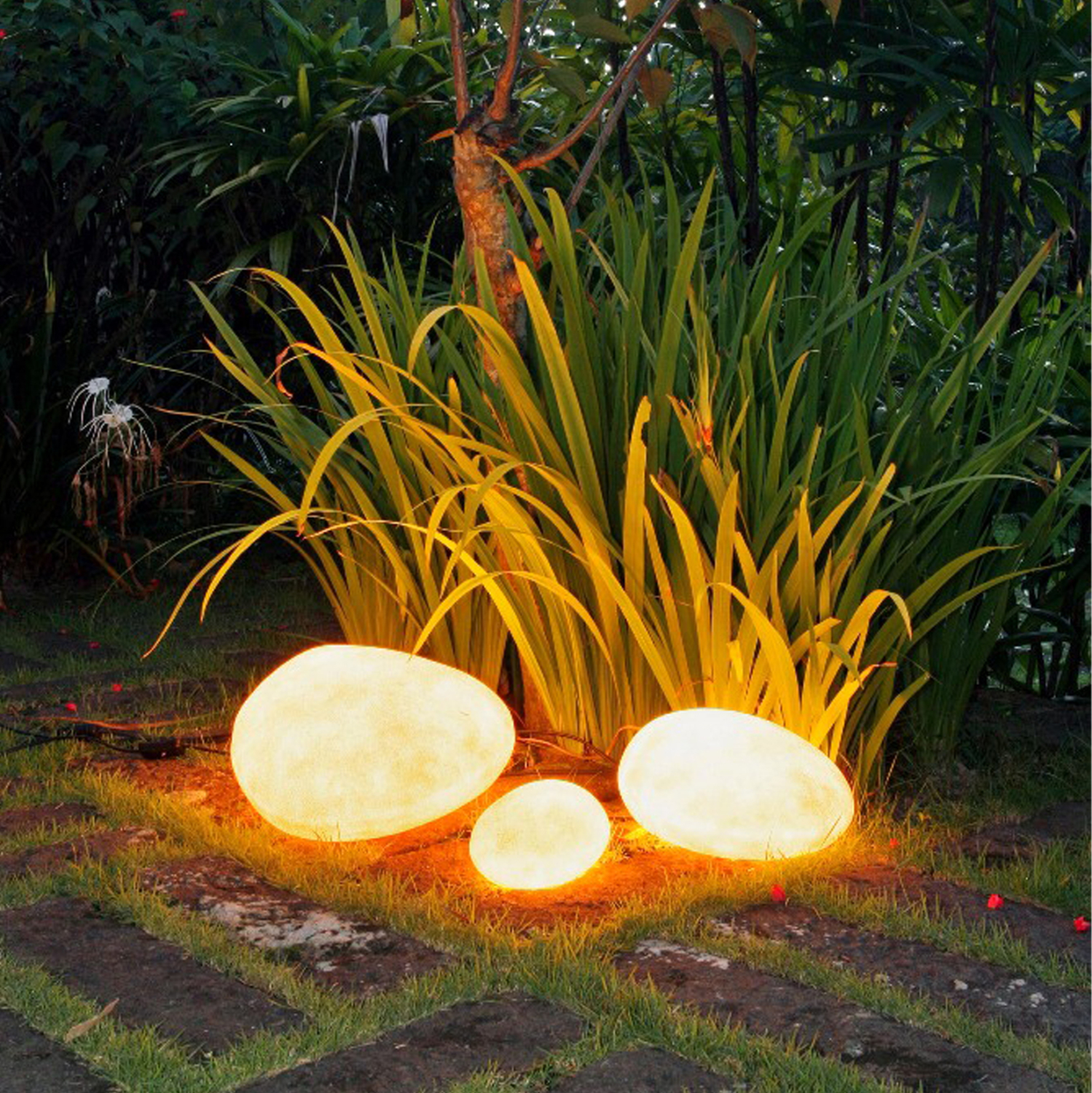 fotistiko-dapedoy-3-fotizomenes-petres-f-2