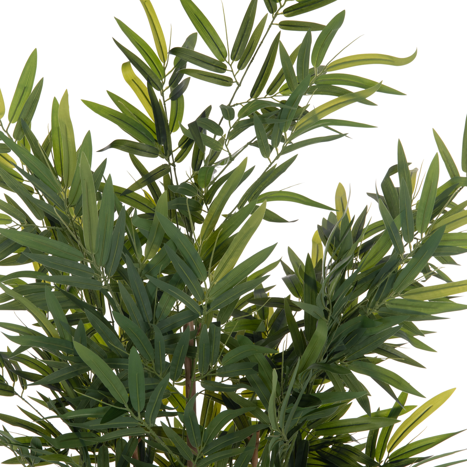 diakosmitiko-synthetiko-fyto-fb94737-bam-2