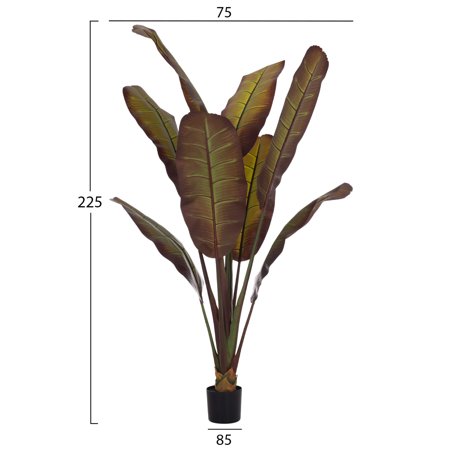 diakosmitiko-synthetiko-fyto-fb94740-iap-1