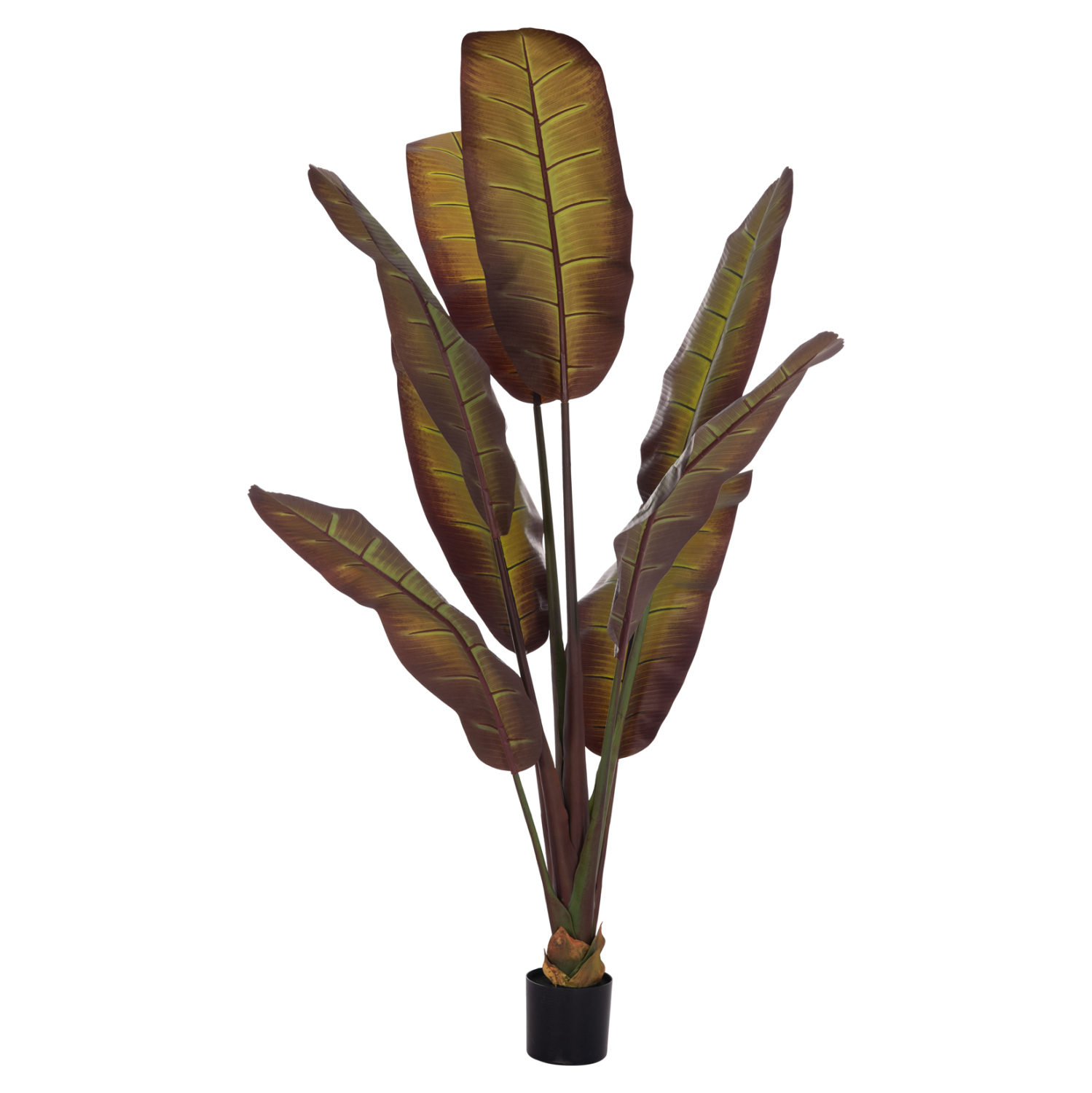 diakosmitiko-synthetiko-fyto-fb94740-iap-2