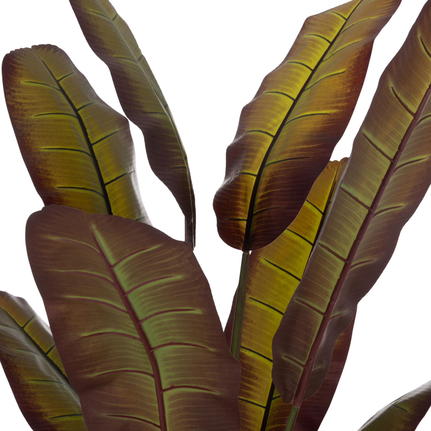 diakosmitiko-synthetiko-fyto-fb94740-iap-3