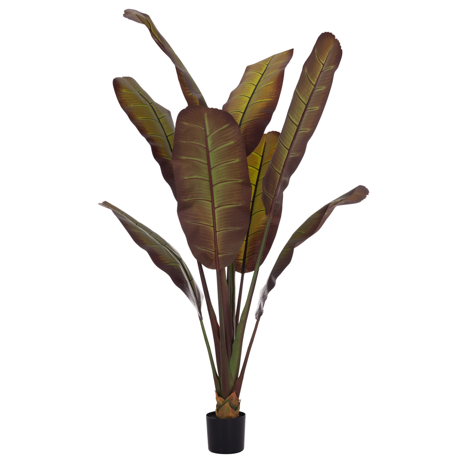 diakosmitiko-synthetiko-fyto-fb94740-iap