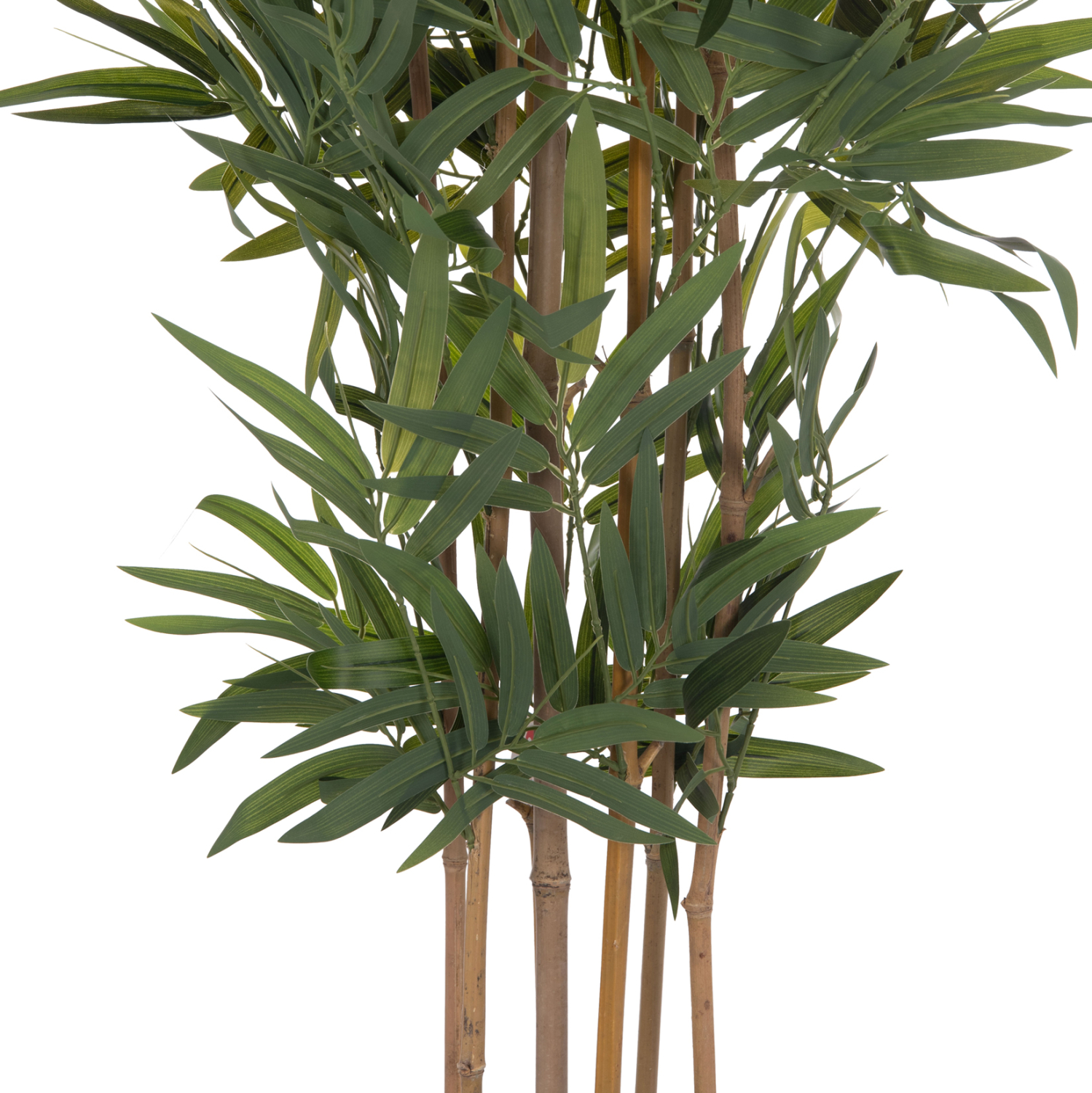 diakosmitiko-synthetiko-fyto-fb94736-bam-3