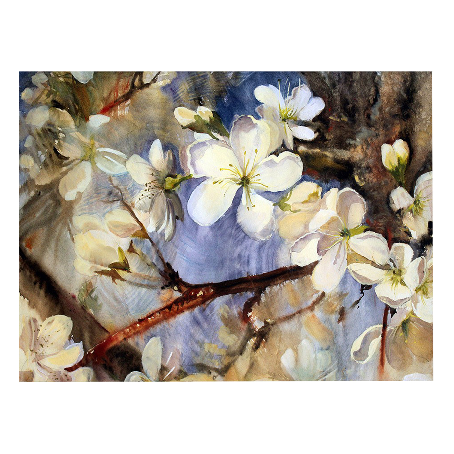 pinakas-toixoy-fb94772-ektypomenos-kamba