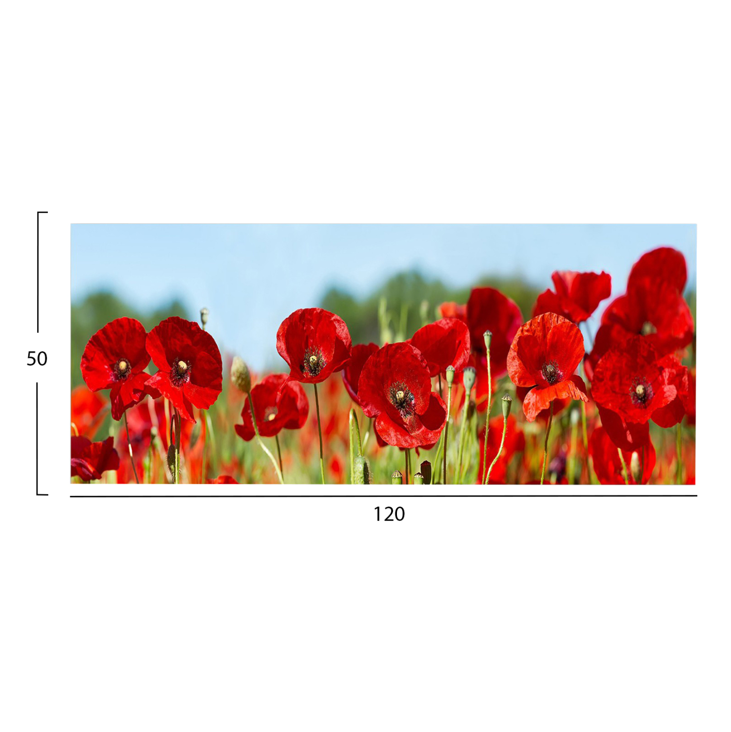 pinakas-toixoy-fb94786-ektypomenos-kamba-1